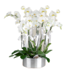 Metal Saksıda 8 Dal Beyaz Orkide
